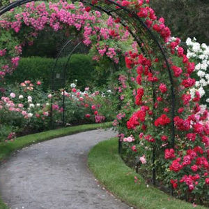 Meet your Posher, Iva